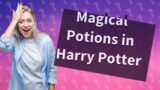 What kind of potions are in Harry Potter?