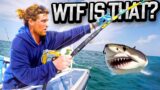Wicked Tuna FUNNIEST Moments!