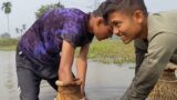 Wow | Amazing Hand Fishing video | Top Dance Media | Ep-10