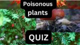 "Deadly Botanicals: The World's Most Poisonous Plants"