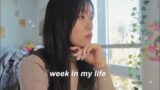 week in my life vlog: productive work days, cat cafe, what i wear, cafe studying