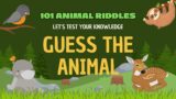 101 Animal Riddles: Can You Guess Them All? #riddlechallenge #riddles #riddlesforkids