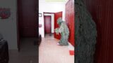 Funny prank try not to laugh ghillie suit troublemaker bushman chucky in real life bhoot #shorts