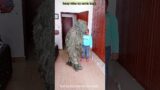 FUNNY VIDEO GHILLIE SUIT TROUBLEMAKER BUSHMAN PRANK try not to laugh monster tiktok #shorts #viral