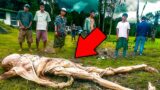 20 SCARIEST Things That FELL From The Sky