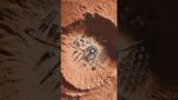 4k Letest Mars Rover video footage #mars #marscuriosity #nasa #shorts