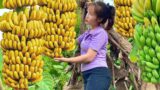 Against All Odds: 17-year-old Single Mother gardens, Harvests Bananas and Apples to Make a Living