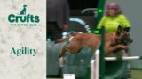 Agility – Championship – Intermediate/Large Part 1 (Jumping) | Crufts 2024