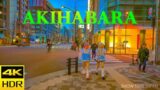 Akihabara Tokyo Japan, Night Walk, Nightlife, Tourist Attractions, Maid Cafe, 4K HDR
