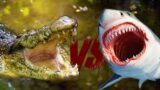 Apex Predators Compete To Win The Title Of Deadliest Creature | WORLD'S DEADLIEST | Real Wid