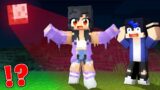 Aphmau and Friends Survive A BLOOD MOON Scary EVENTS in Minecraft! – Parody Story