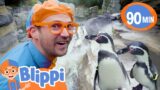 At the Penguin Zoo With Blippi | Blippi and Meekah Best Friend Adventures | Animal Videos for Kids