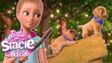 Barbie Puppy Obstacle Course! | Netflix Movie Clip | Barbie And Stacie To The Rescue!