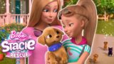 Barbie & Stacie meet NEW PUPPIES! | Netflix Movie Clip | Barbie & Stacie To The Rescue!
