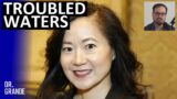Billionaire Drowns After Driving Tesla Model X SUV Into Pond | Angela Chao Case Analysis