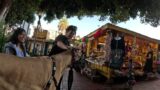 Cash 2.0 Great Dane on Olvera Street in downtown Los Angeles 7