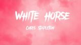Chris Stapleton – White Horse Lyrics Video