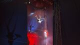 Circus Act Monsieur Fabrice 2024 #circus #fantasia #adventures #essex #colchester