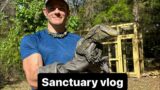 Crocodile monitor, coatis, foxes, emu, sanctuary vlog!!