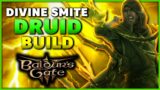 Divine Smite Druid BG3 Build