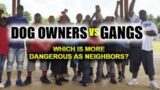 Dog Owners vs Gangs: Which Is More Dangerous As Neighbors?