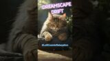 Dreamscape Drift -sleep like Tabby cat, regardless of what’s going on #short 4 #loficosmicrelaxation