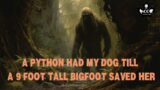 EPISODE 657 9 FOOT TALL BIGFOOT SAVED MY DOG