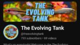 Ep. 34 Mexicali and The Evolving Tank