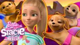 Floor is LAVA with Barbie & Stacie! | Netflix Movie Clip | Barbie And  Stacie To The Rescue!