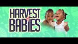 HARVEST OF BABIES  WITH DR. CHRIS OKAFOR  || DAY 3 || 29TH MARCH 2024.