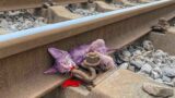 He had an accident on the train tracks, Thought he couldn't survive, But a miracle happened