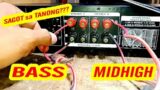 How to Setup BASS and Midhigh Tweeter using Integrated Amplifier? Joson Mars Setup separated volume