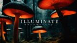 ILLUMINATE :: An Otherworldly Ambient Dreamscape