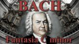 J. S. Bach – Fantasia in C minor BWV 562 / organ tutti /