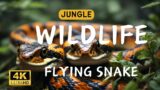 Jaw-Dropping: Flying Snake Caught on Camera || Ultimate Wild Animals Collection in 8K ULTRA HD