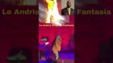 Le Andria Johnson Sings to Fantasia #fantasia #tinaturner