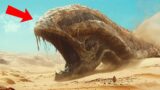 Legend Comes to Life: Did They Find a Sahara Sandworm?