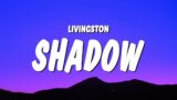 Livingston – Shadow (Lyrics) "don't think twice you'll be dead in a second"
