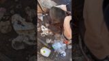 Man Rescues Raccoon That Had Her Head Trapped In A Dumpster | The Dodo