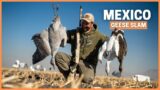 Mexican Geese Slam in one day: Insane waterfowl hunting action!