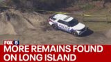 More human remains found on Long Island