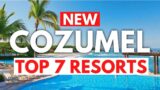 NEW | Top 7 BEST All Inclusive Resorts In Cozumel Mexico (2023)
