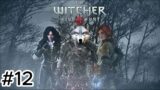 Old Friends –  The Witcher 3 Wild Hunt Walkthrough Part 12