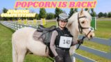 POPCORN IS BACK! FIRST JUMPING SHOW!