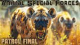 Patrol Final | Exciting documentaries | Best Documentary movies in English | Animal Special Forces