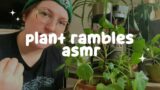 Plants ASMR | In-Depth Rambling, Terracotta Tapping
