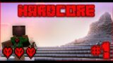 Playing Hardcore for the First Time [Episode 1] #Minecraft #Survival #Hardcore