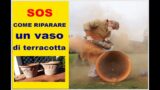 Preview:  SOS …come riparare un vaso in terracotta, ammalorato e  bisognoso di cure…