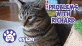 Problems With Richard, Mail Time – S7 E24 – Lucky Ferals Cat Vlog – Life With 11 Cats Compilation