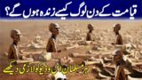 Qayamat Ka Din Hisab Kesy Ho Ga? |  The Complete Story Of Resurrection ?| Tabinda Voice